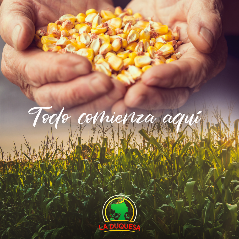 La Duquesa — refined sugar campaign